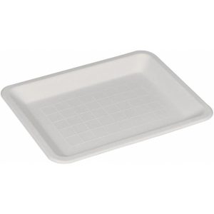 Miljøtallerken, Gastro, 15x20x1,5cm, hvid, sukkerrør 1000 stk/krt