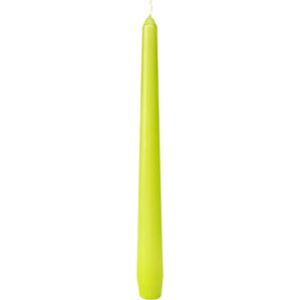 CANDLES ANTIQUE 245X22 KIWI 50x2/krt