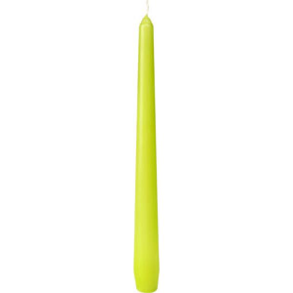 CANDLES ANTIQUE 245X22 KIWI 50x2/krt