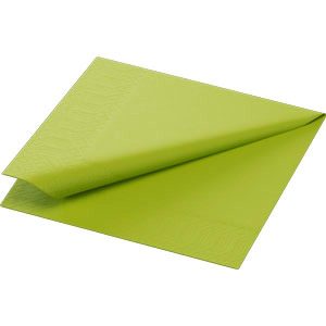NAPKINS 3-PLY 24X24CM KIWI 250x8/krt