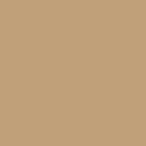 Tissue serviet 24 x 24 cm eco Brown 2-lags