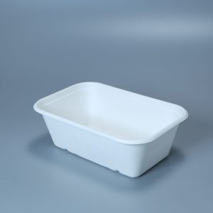 Bagasse Bakke 750ml 174x120x65 mm
